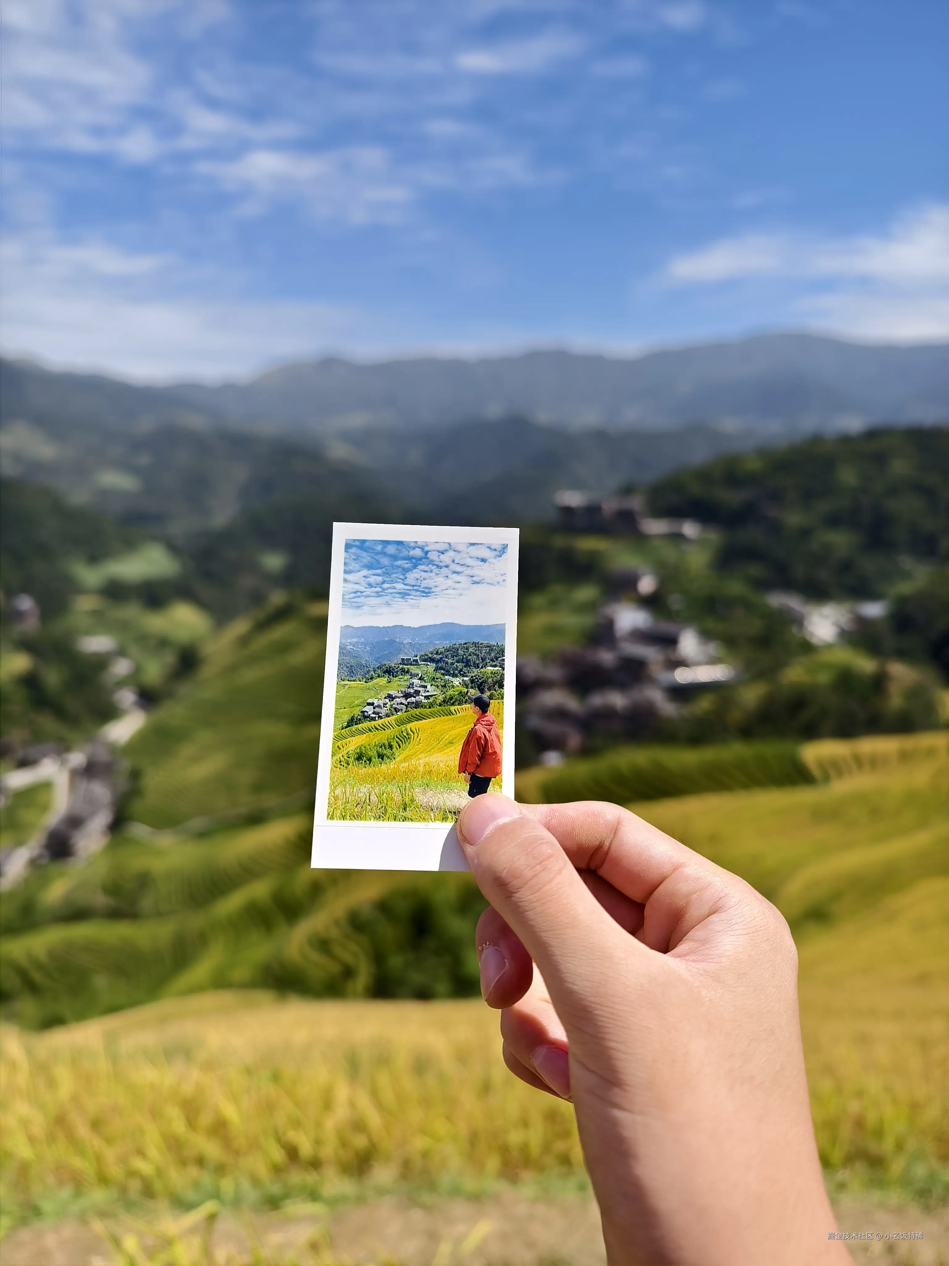 小名饭特稀于2024-10-08 09:57发布的图片