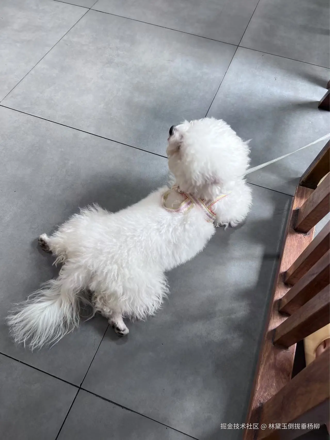 林黛玉倒拔垂杨柳于2024-10-31 09:19发布的图片