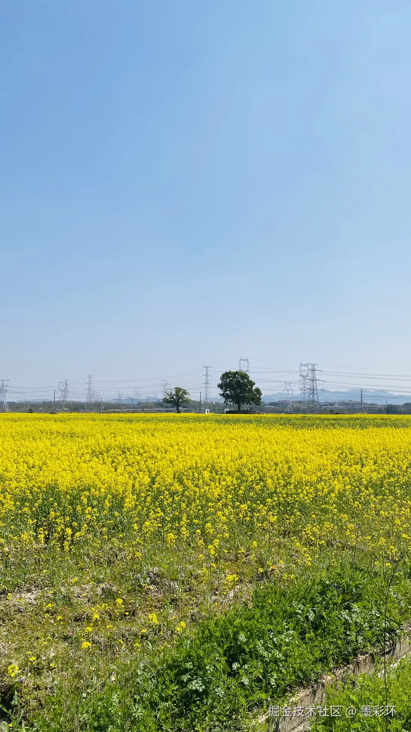 墨彩环于2025-03-20 23:09发布的图片