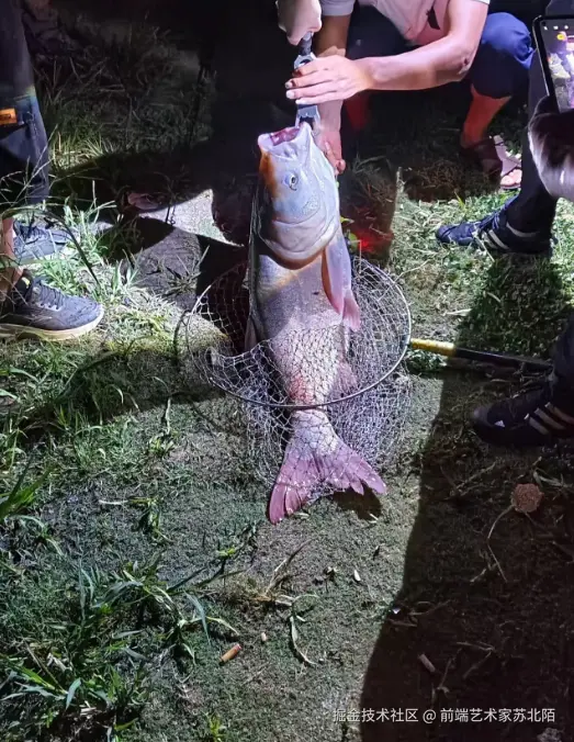 前端艺术家苏北陌于2024-08-29 10:31发布的图片