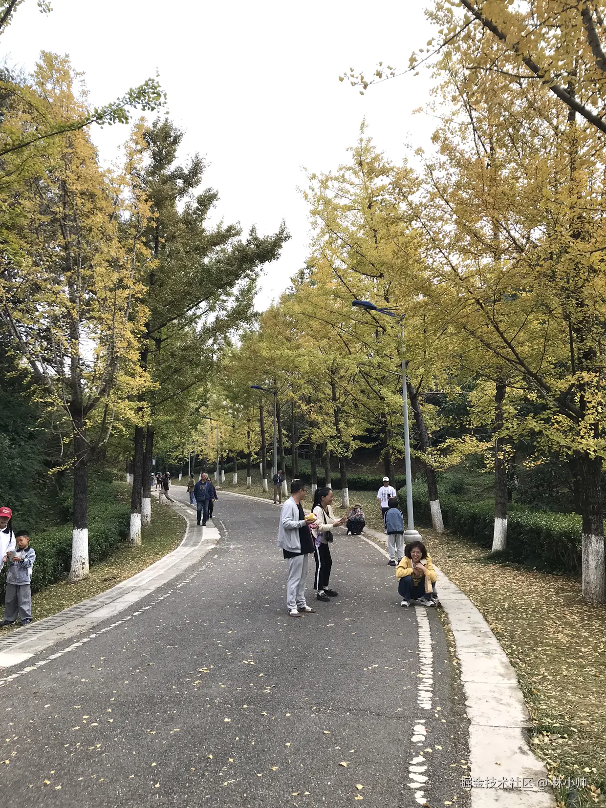 林小帅于2024-10-28 15:38发布的图片