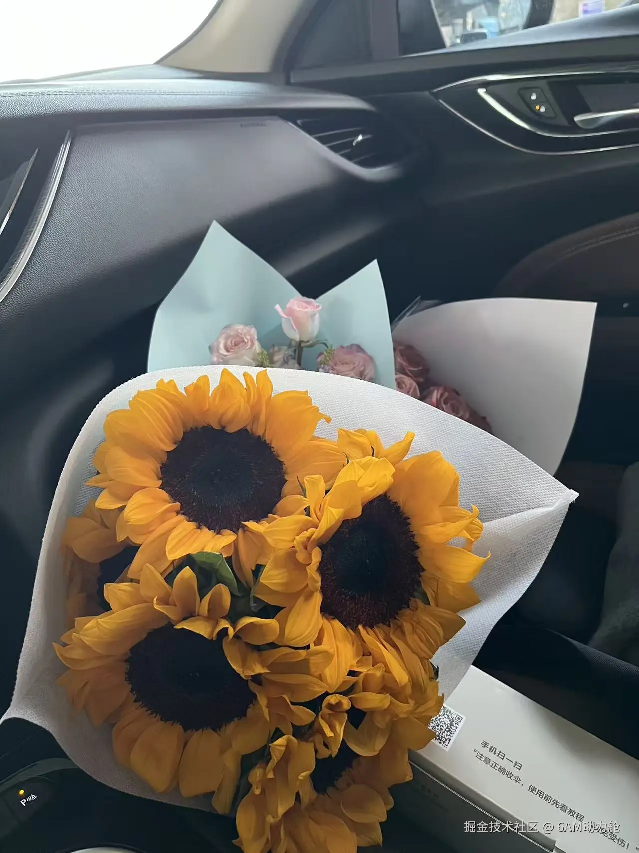 6AM动力舱于2026-02-13 11:35发布的图片