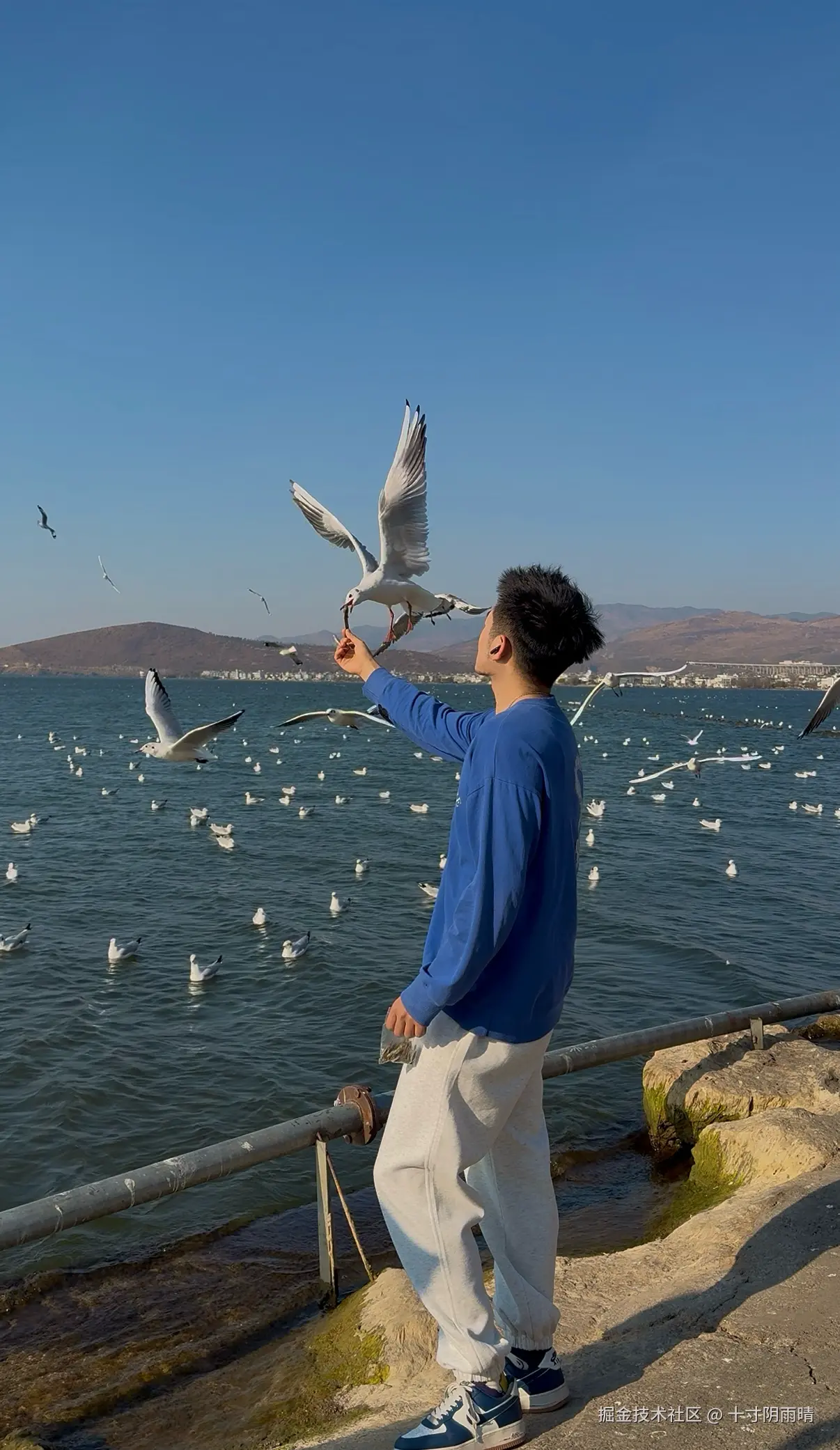 十寸阴雨晴于2026-02-09 09:37发布的图片