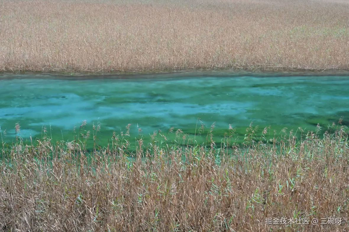 三碗呀于2025-11-19 16:23发布的图片