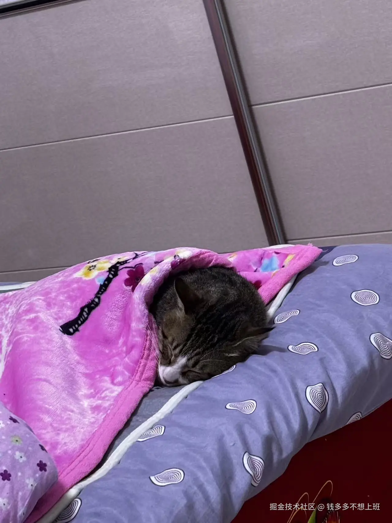 钱多多不想上班于2026-03-25 15:45发布的图片