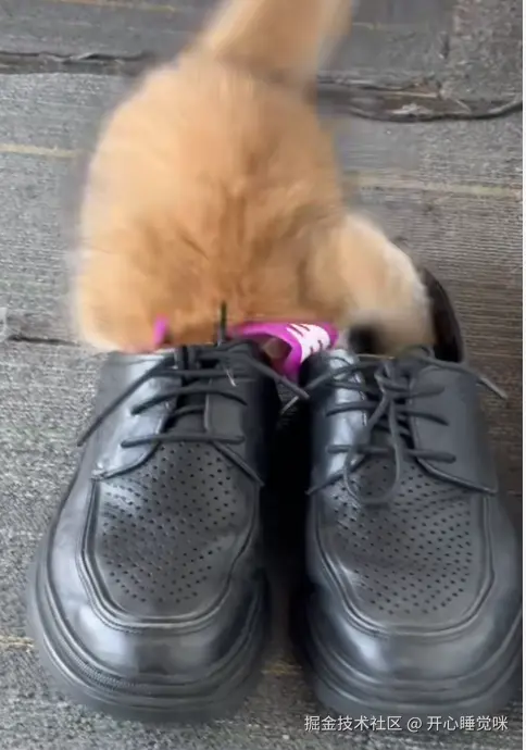 开心睡觉咪于2025-08-14 07:13发布的图片