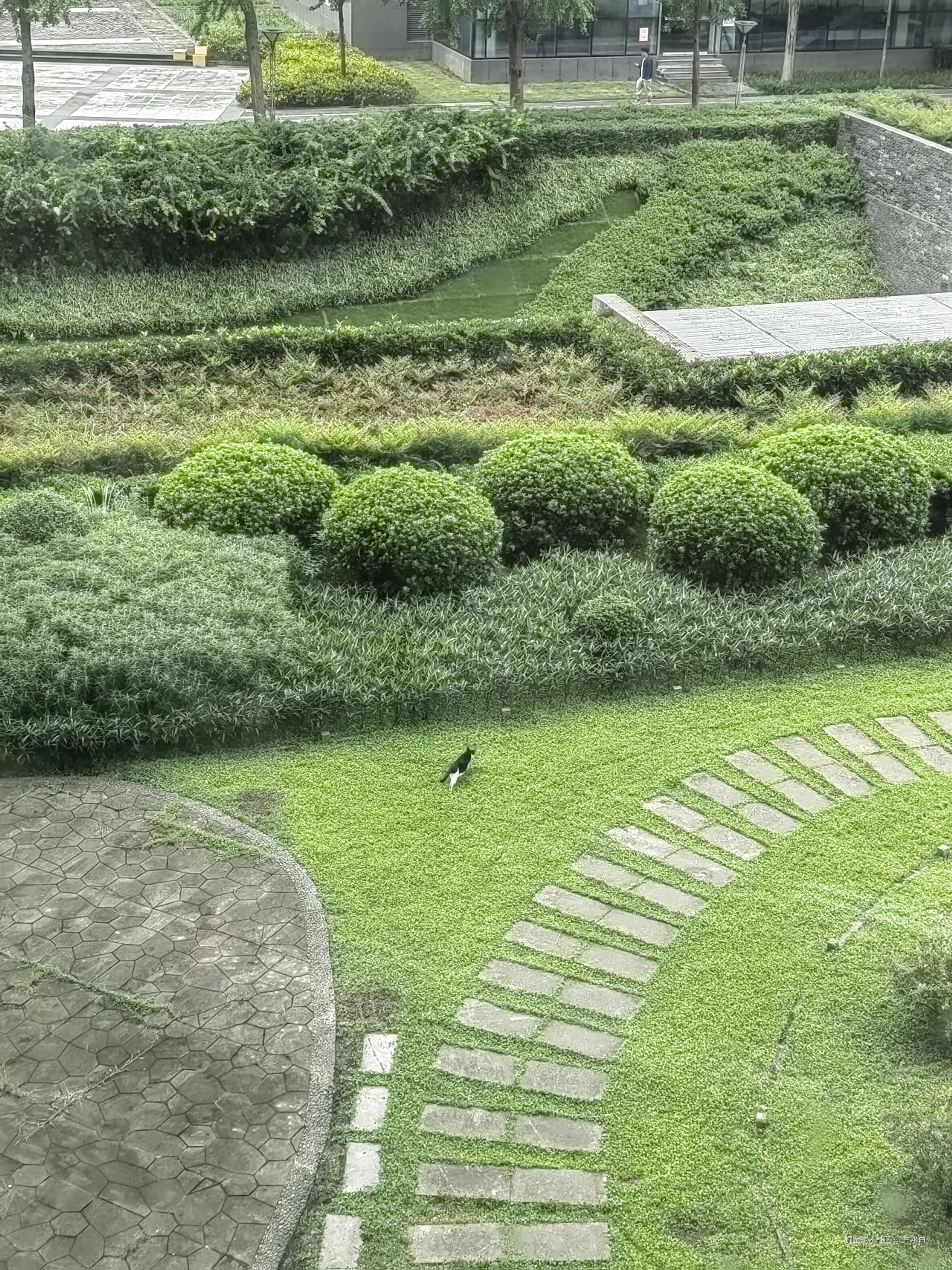 白水白于2025-09-12 14:48发布的图片