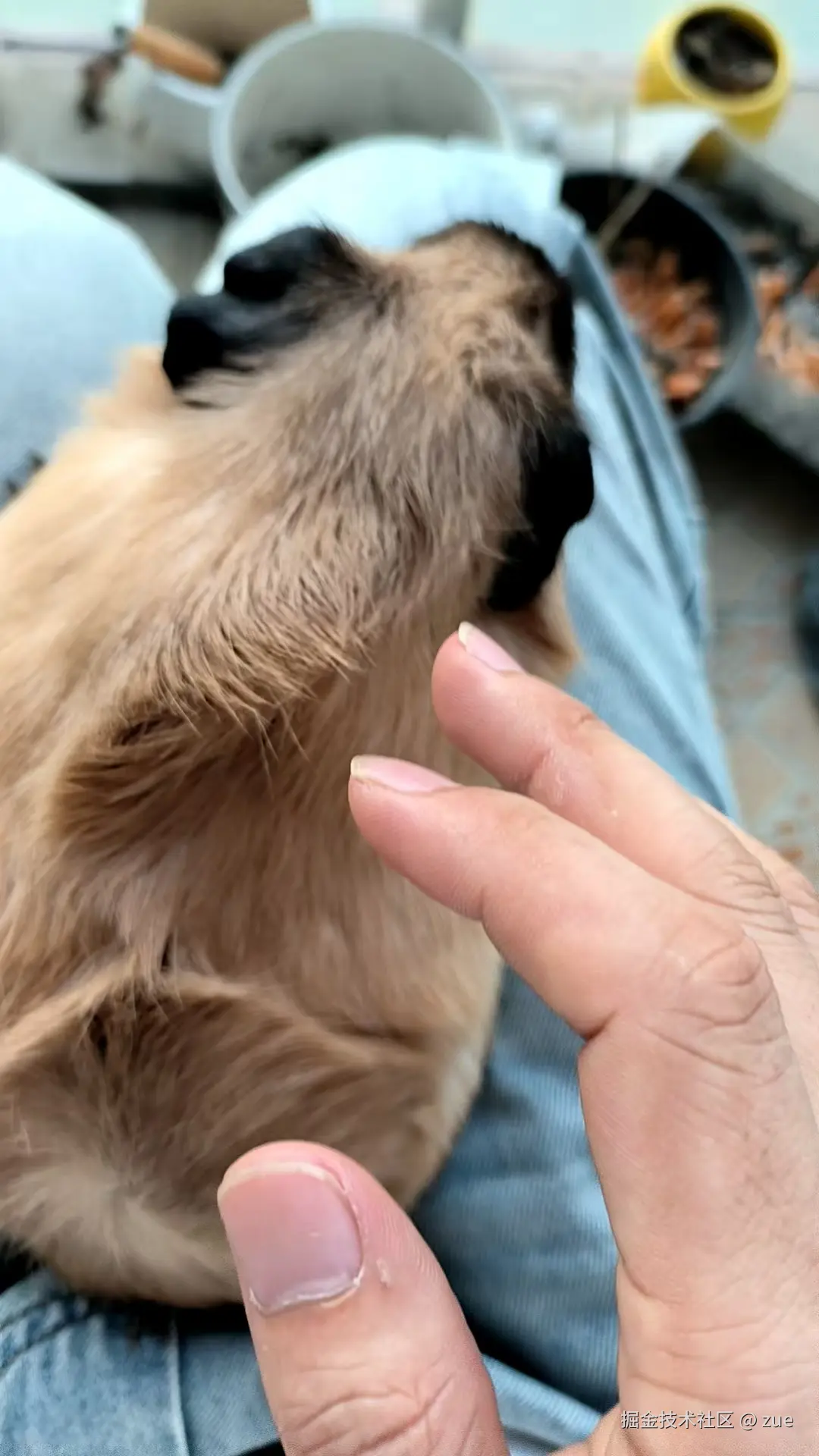 zue于2025-09-05 11:07发布的图片