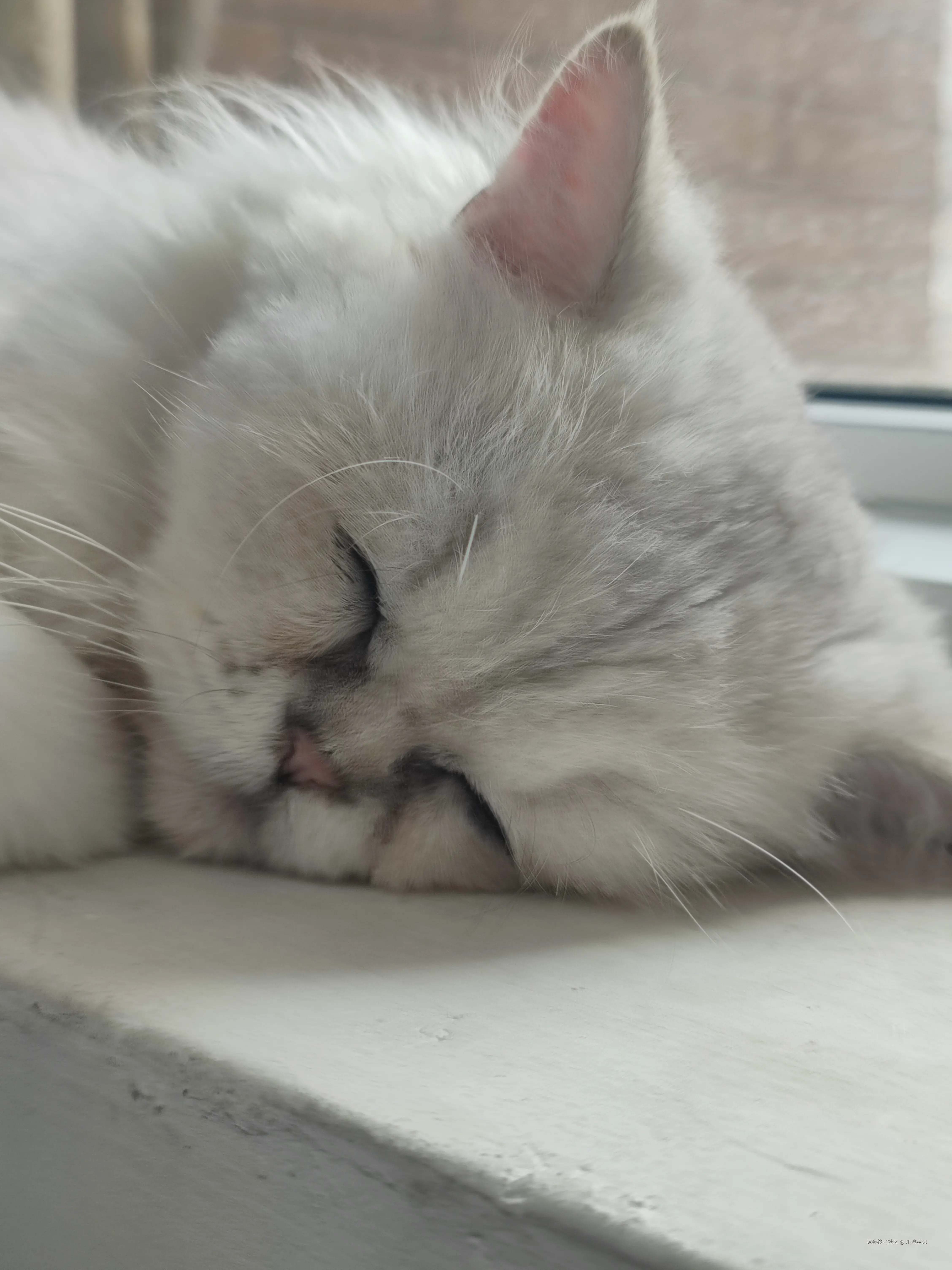 爪哇手记于2024-09-23 10:29发布的图片