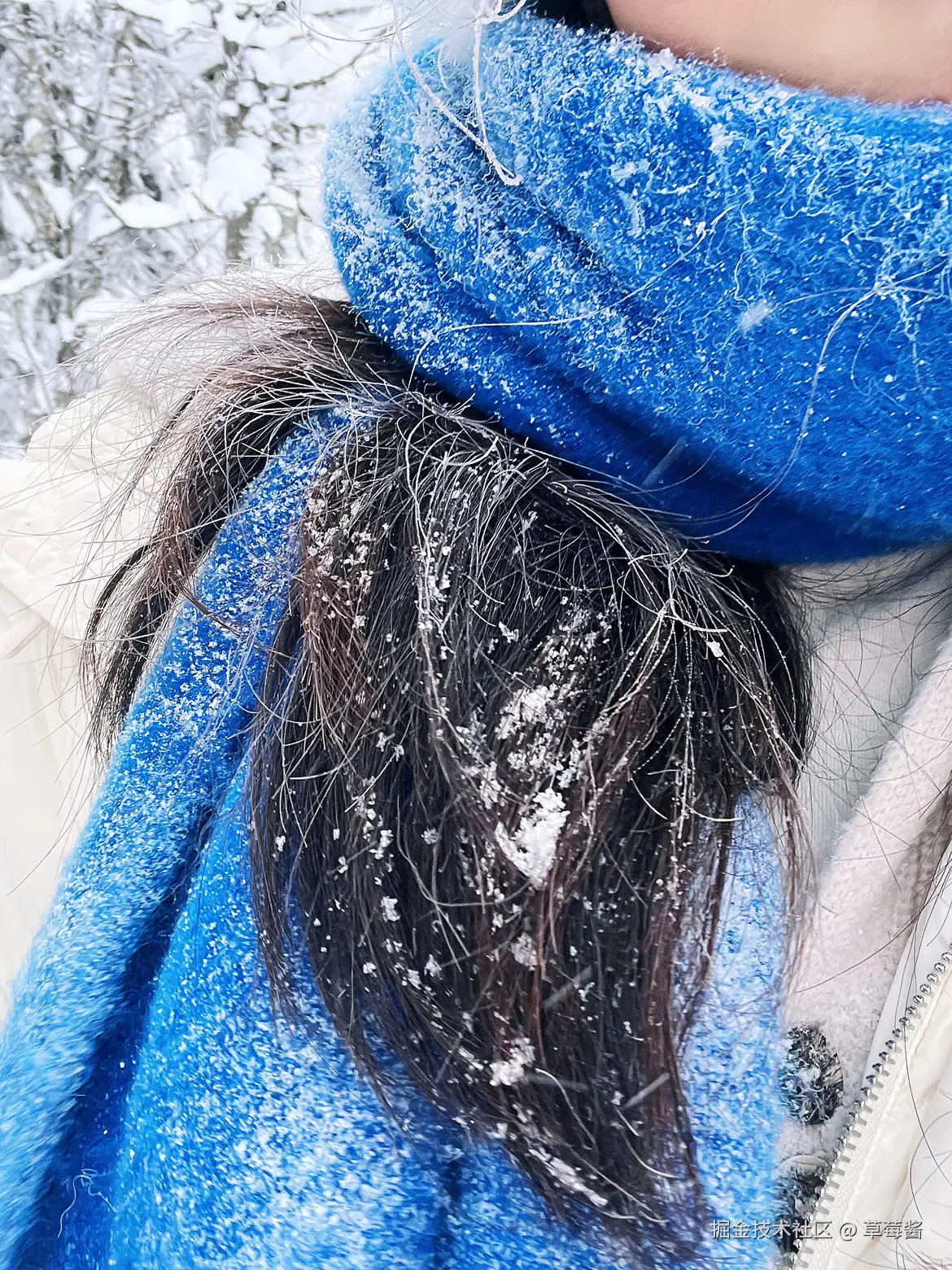 草莓酱于2024-12-23 09:12发布的图片