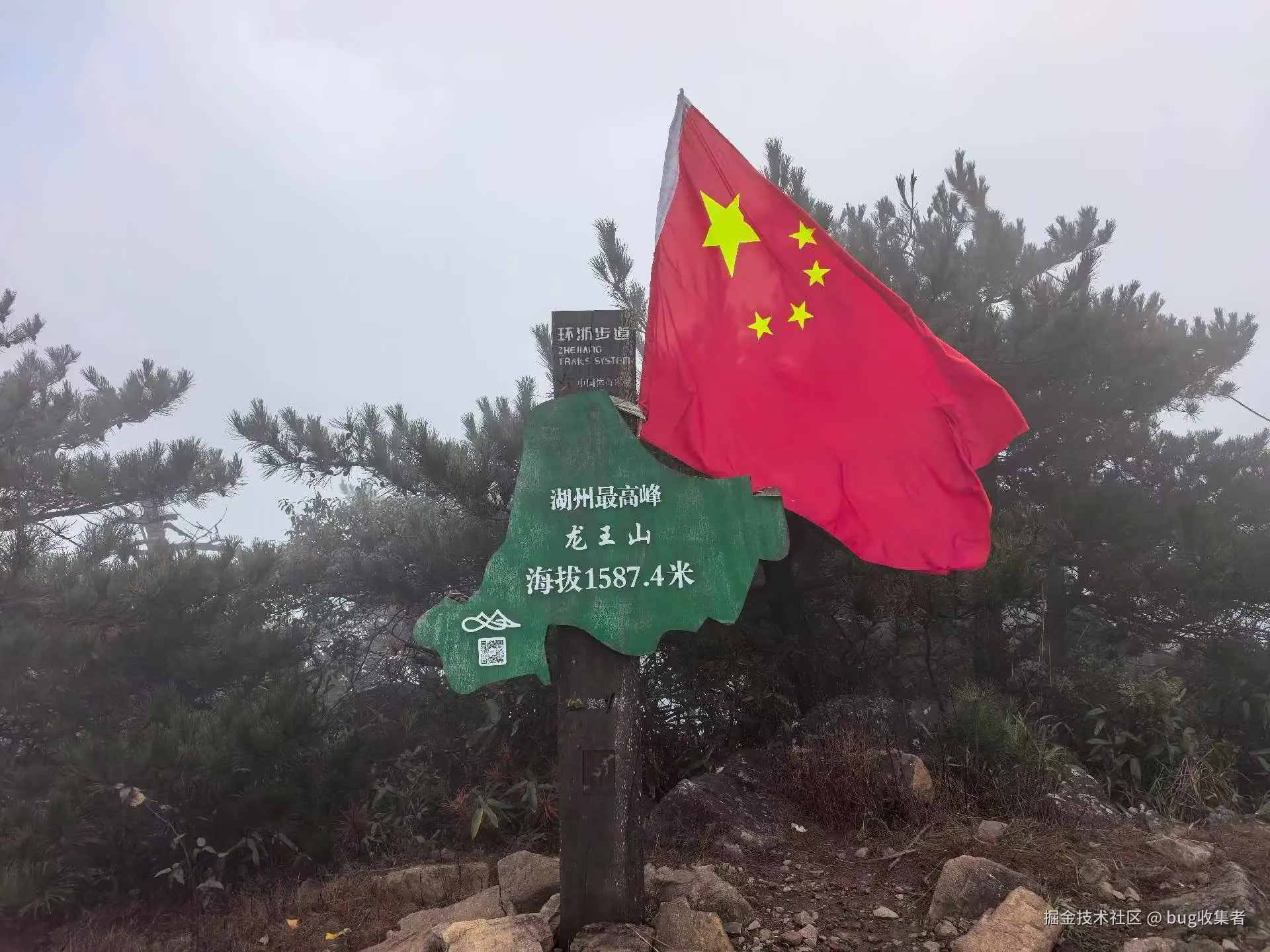 bug收集者于2025-11-03 11:16发布的图片