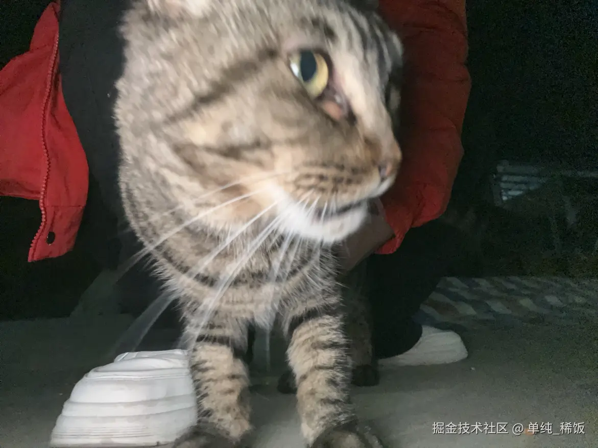 单纯_稀饭于2025-10-31 18:19发布的图片