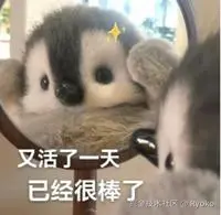 Ryoko于2025-07-25 17:16发布的图片