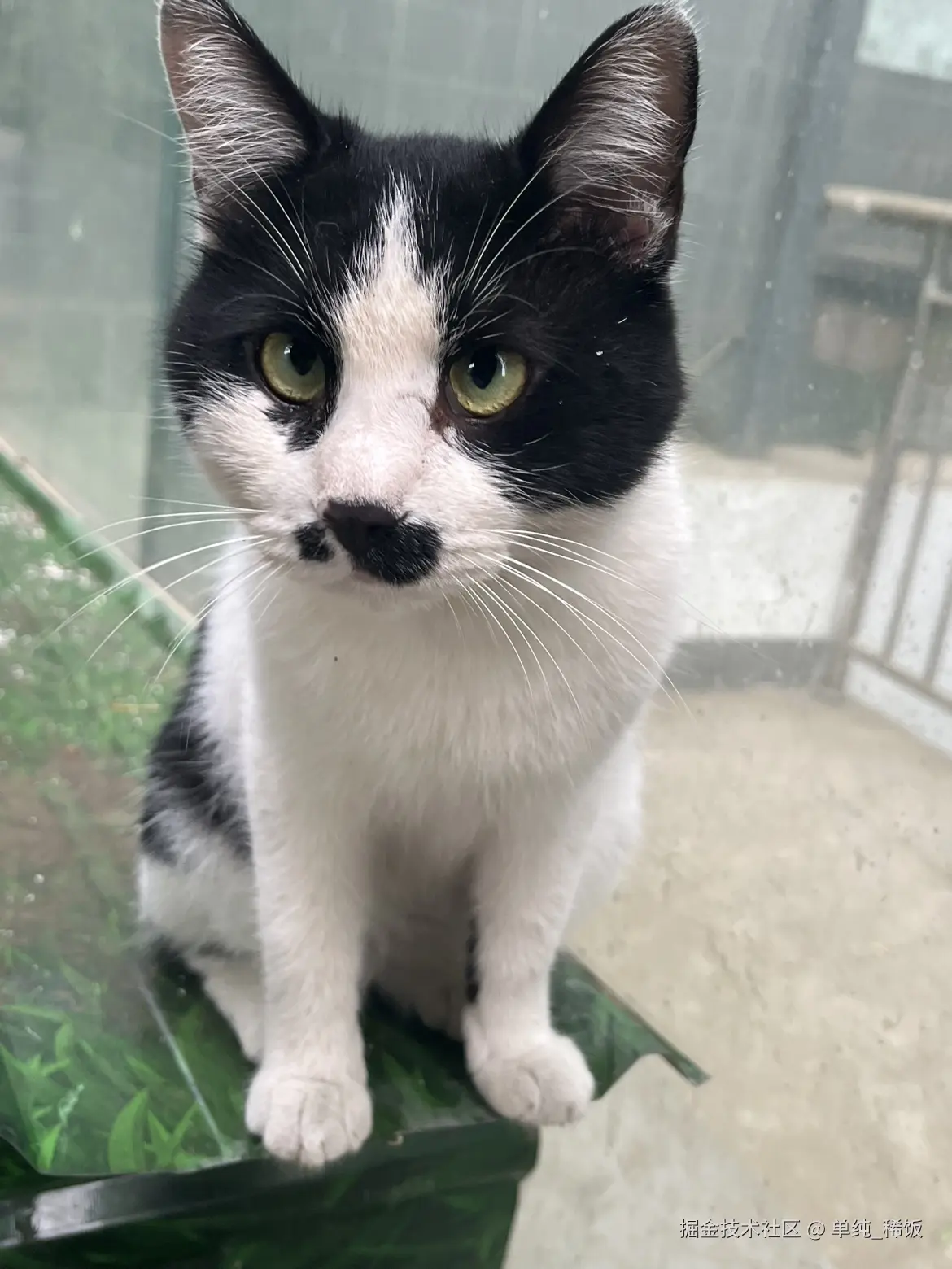 单纯_稀饭于2025-09-10 08:17发布的图片