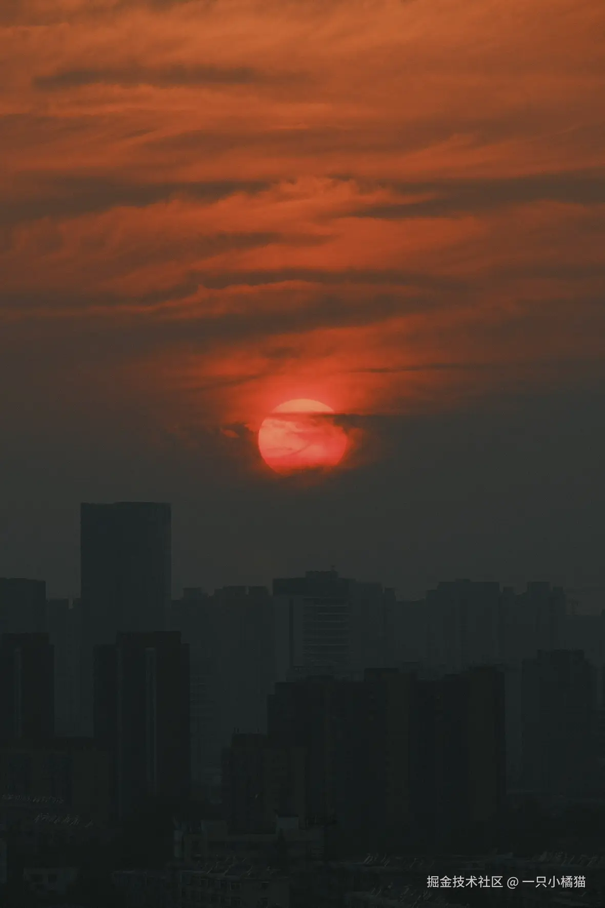 一只小橘猫于2025-11-05 07:53发布的图片