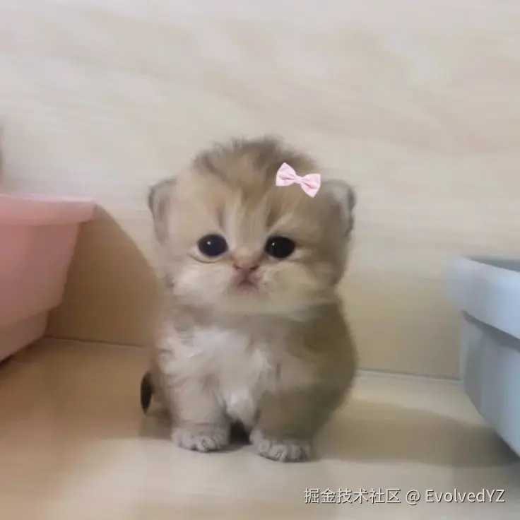 EvolvedYZ于2024-08-11 22:51发布的图片