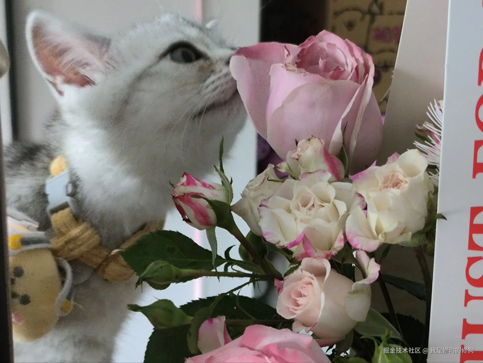 我是修沟的修狗于2025-05-28 13:33发布的图片