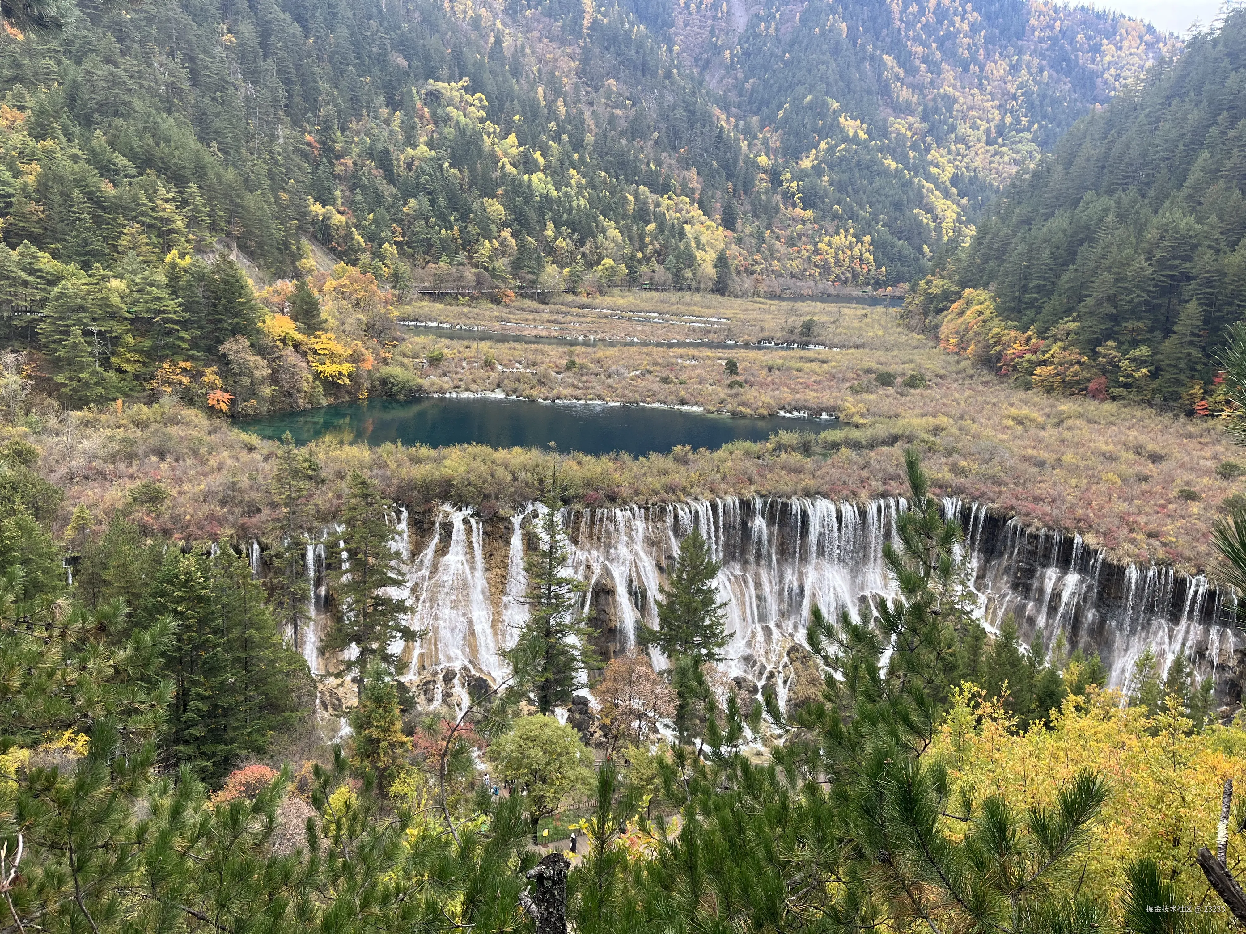 23233于2025-11-06 15:52发布的图片