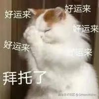 DreamMaker于2025-01-23 02:49发布的图片