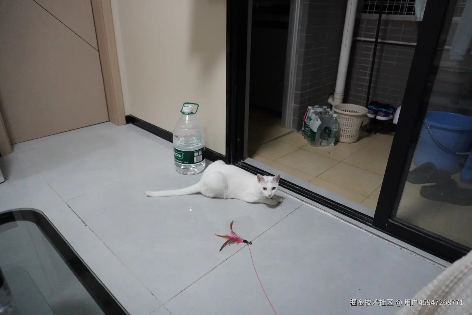 用户45947268771于2025-07-18 08:48发布的图片