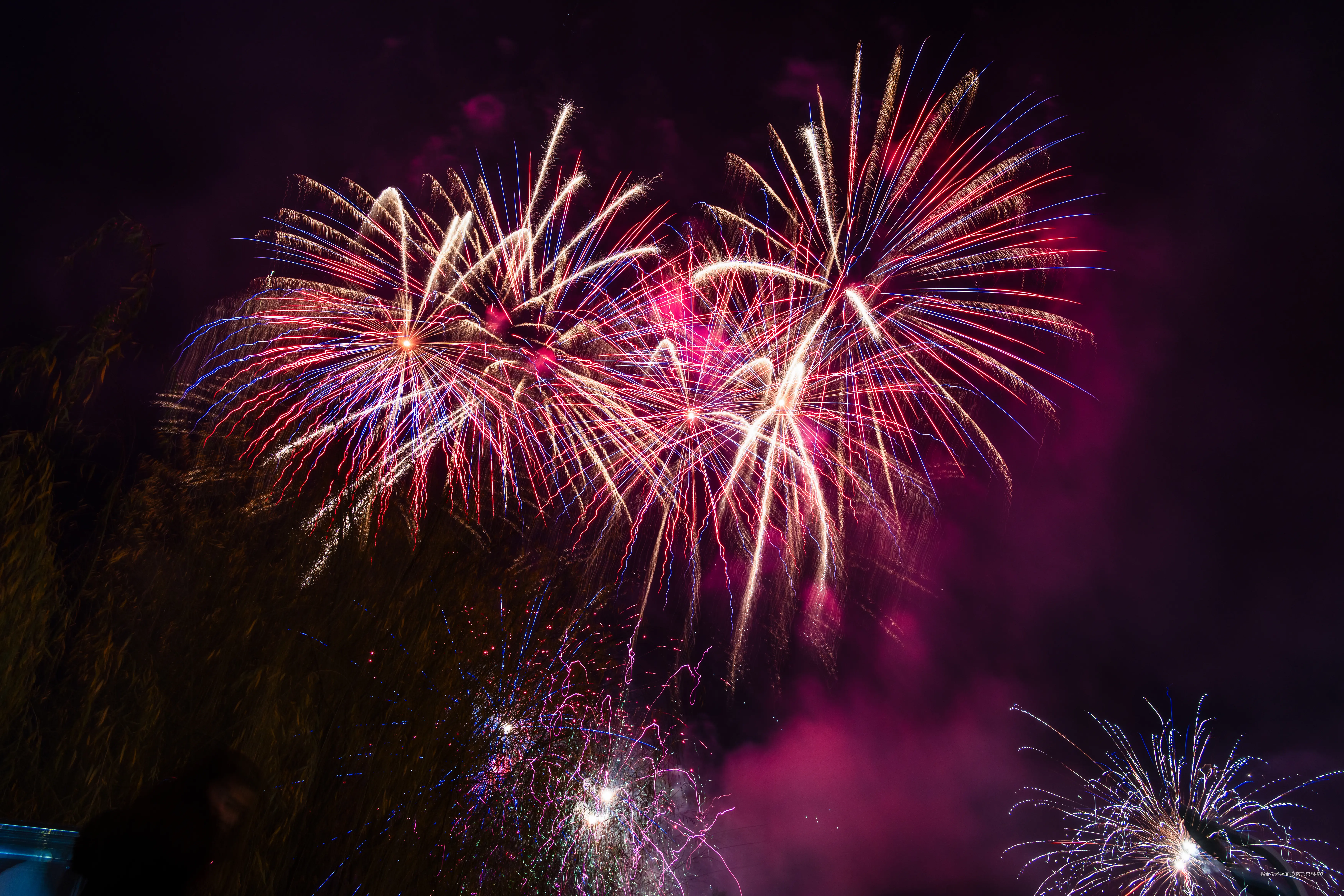 阿飞只想摸鱼于2026-02-11 14:40发布的图片