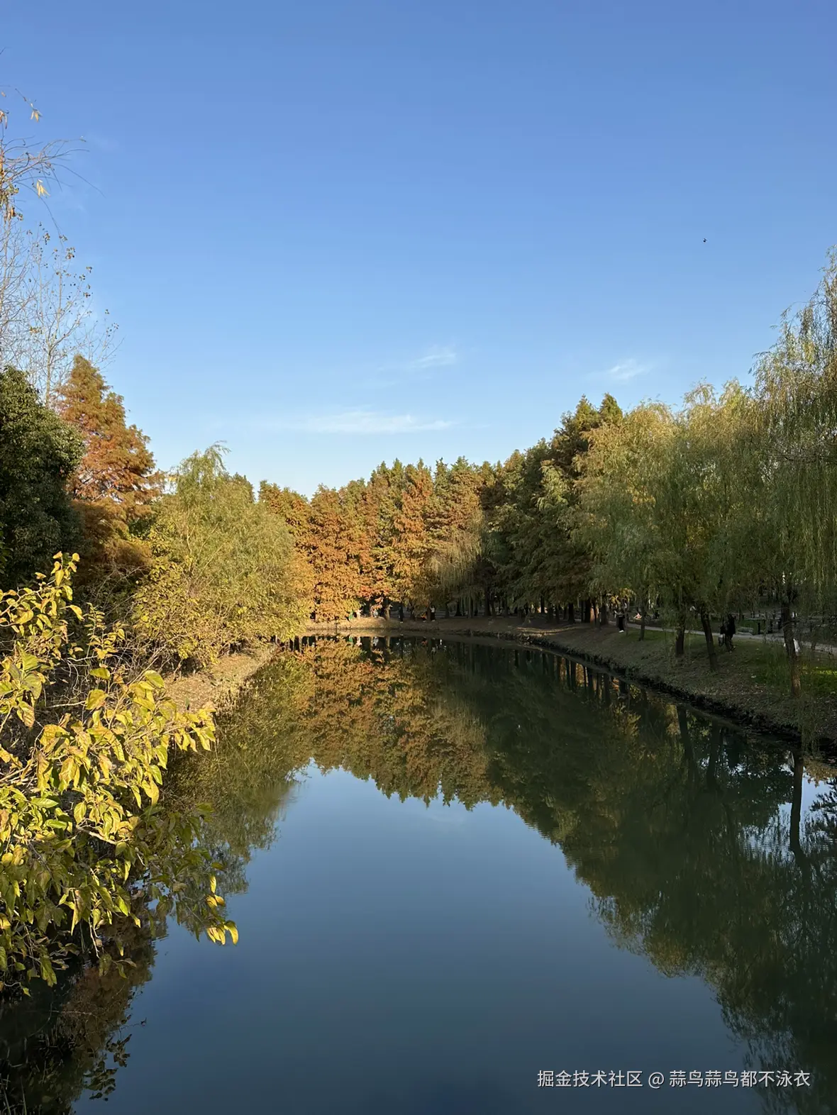 蒜鸟蒜鸟都不泳衣于2025-12-05 10:12发布的图片