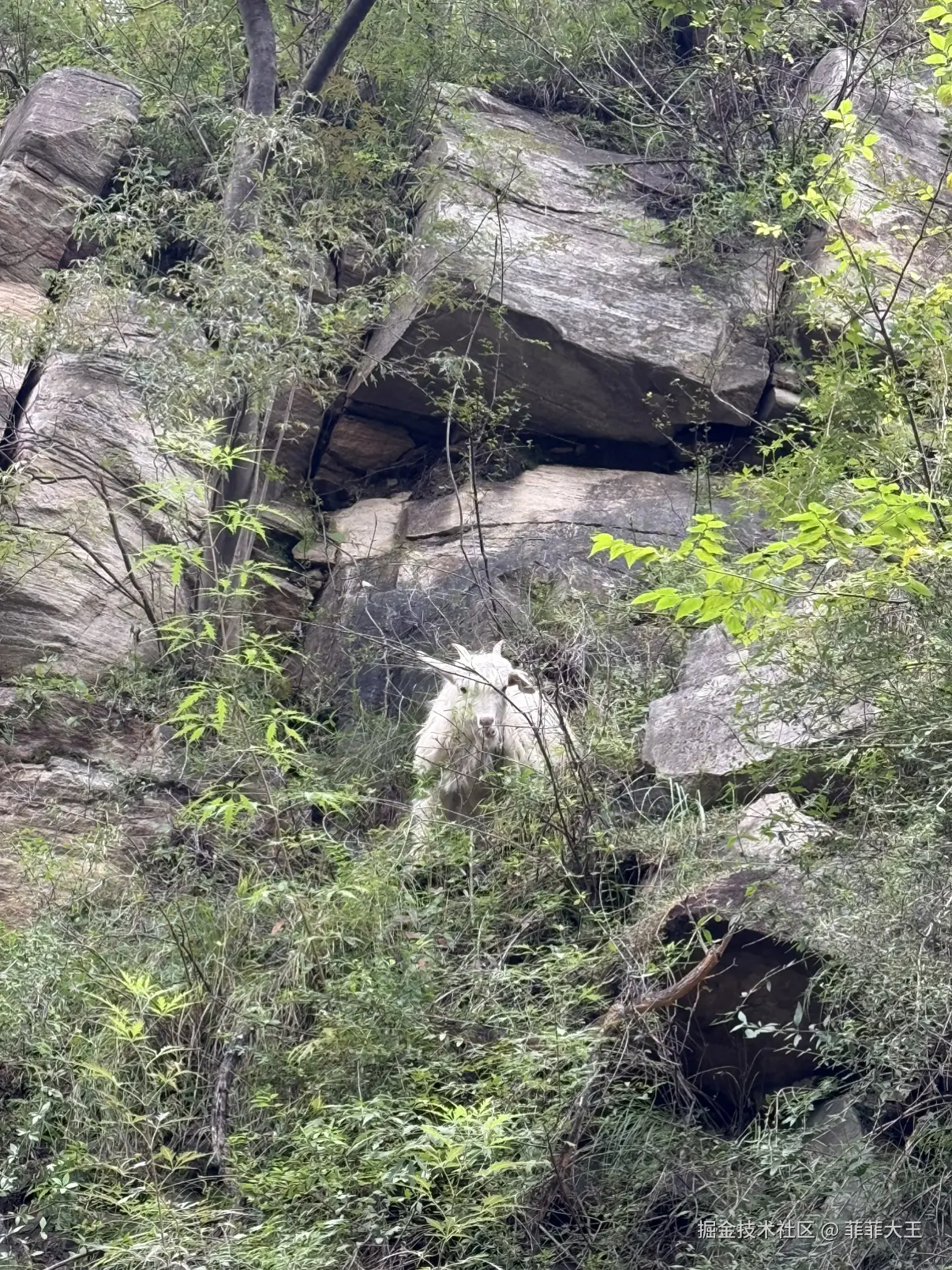 菲菲大王于2025-10-09 11:40发布的图片