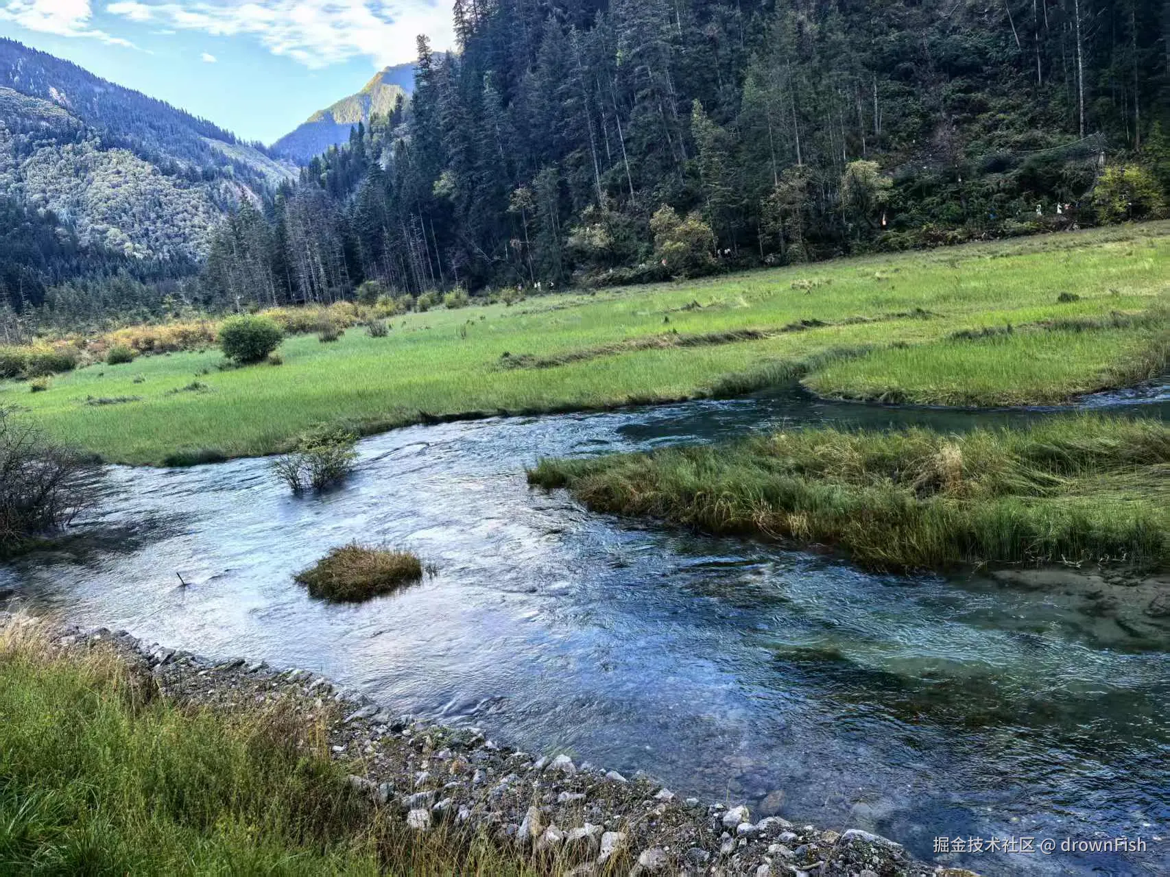 drownFish于2025-10-09 09:42发布的图片