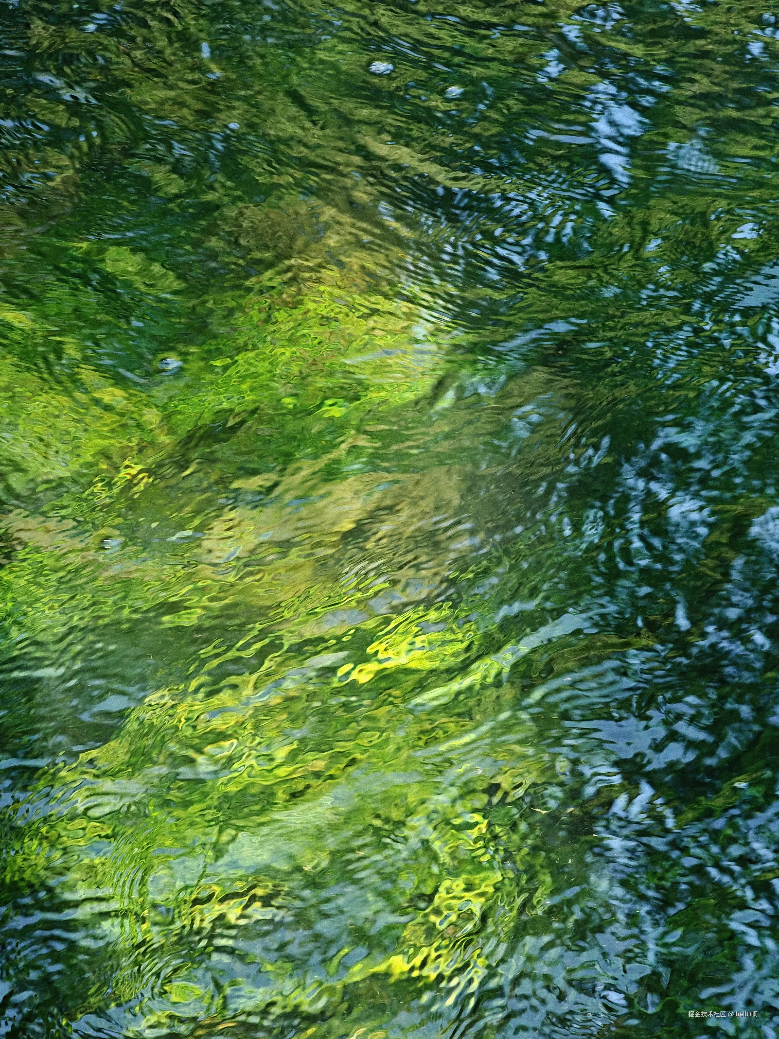 hellO啊于2025-07-15 10:53发布的图片