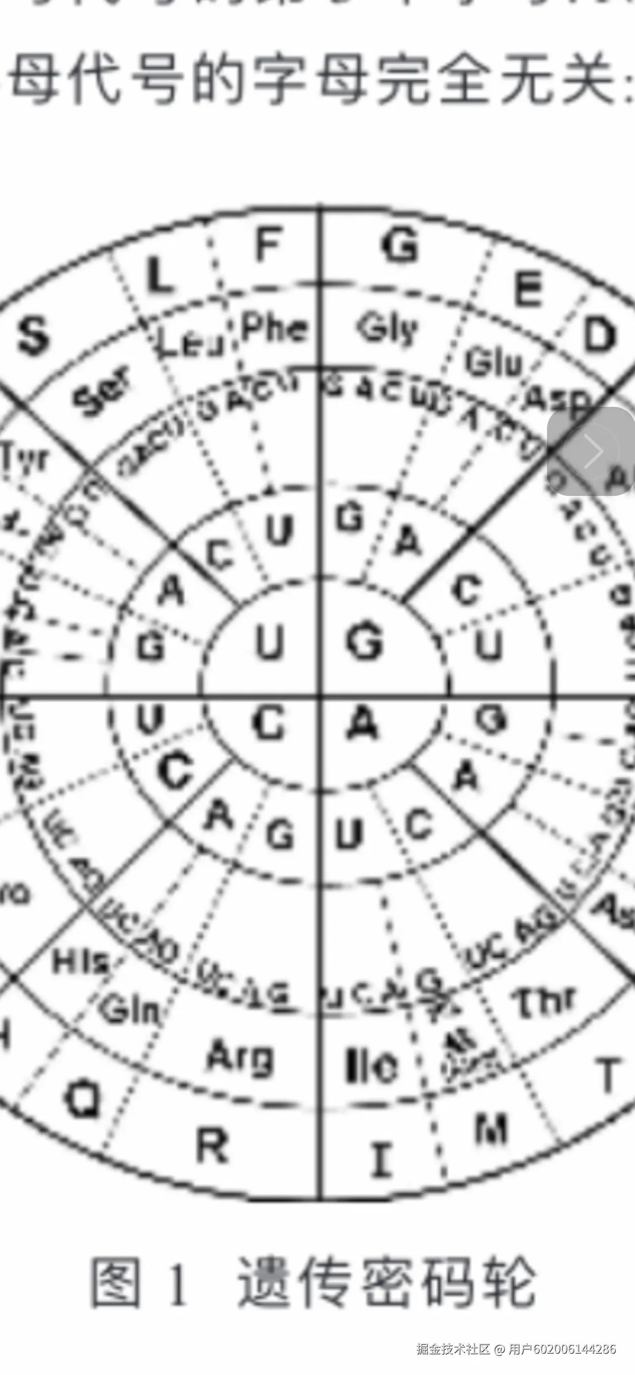 用户602006144286于2024-09-20 10:21发布的图片