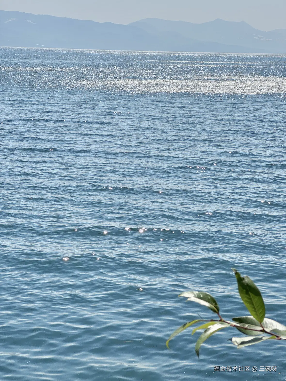 三碗呀于2026-03-12 13:06发布的图片