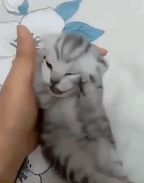 喝奶茶不加糖于2025-06-23 10:29发布的图片