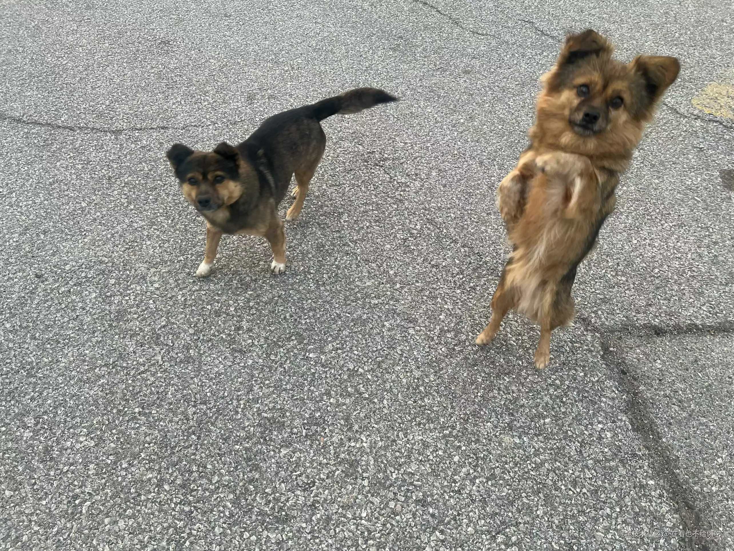 在看也不给你吃于2025-12-10 11:18发布的图片