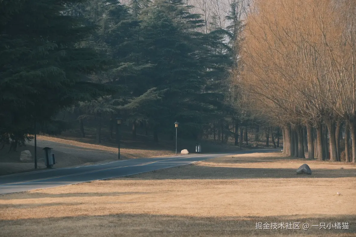 一只小橘猫于2026-01-08 22:30发布的图片