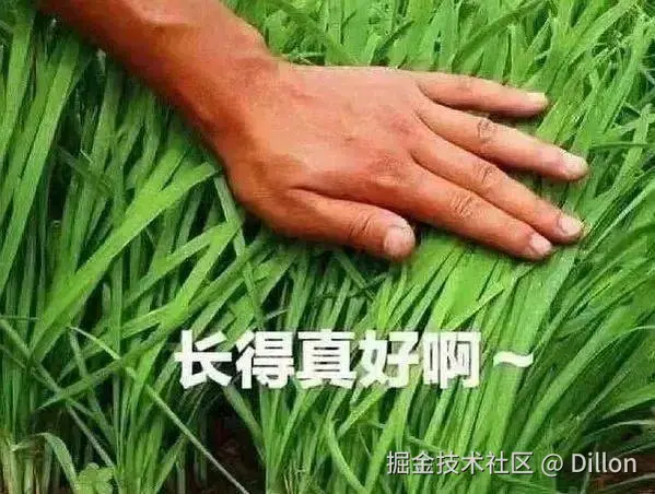 Dillon于2024-10-09 16:27发布的图片