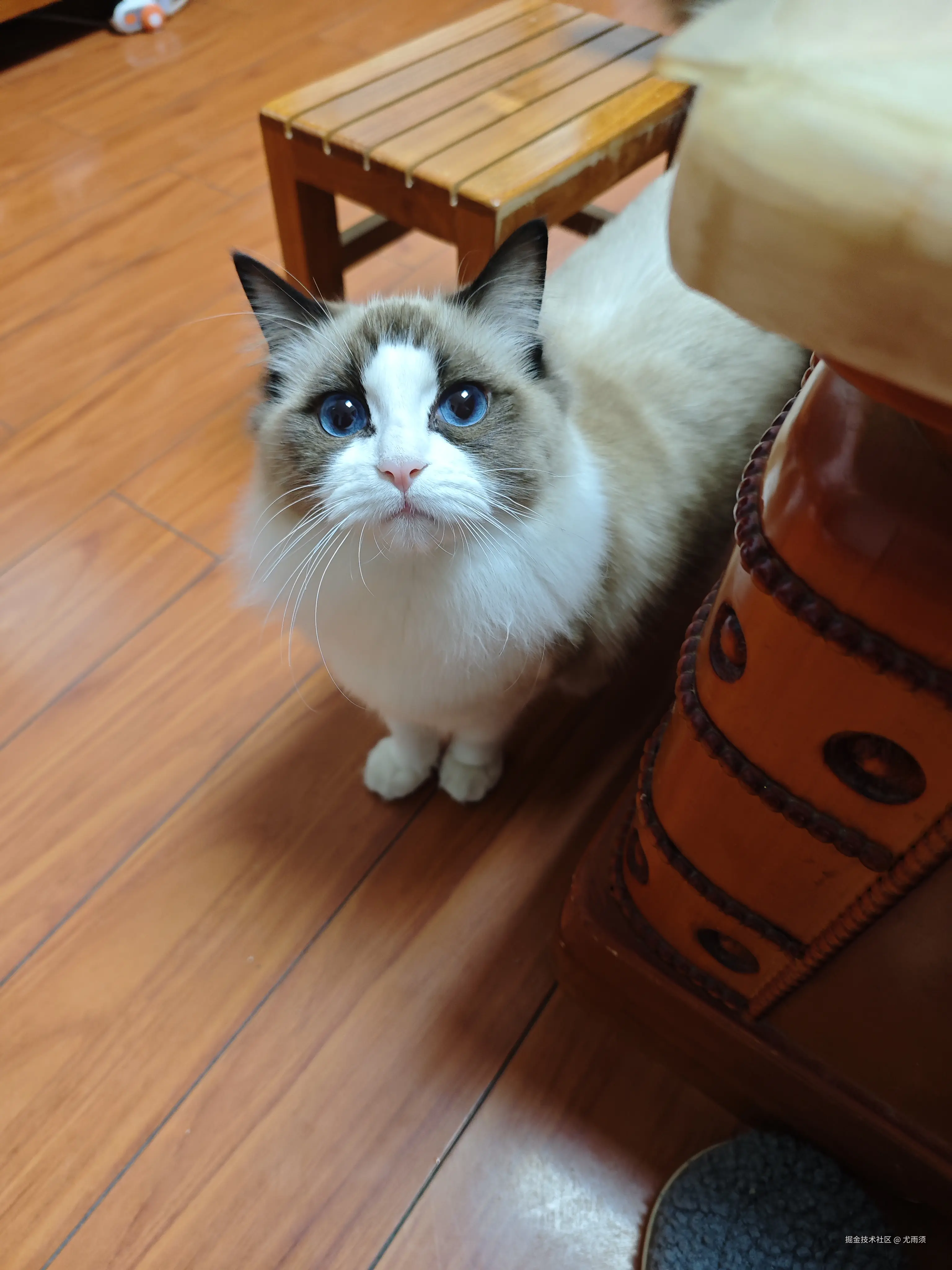 尤雨须于2024-12-14 14:37发布的图片