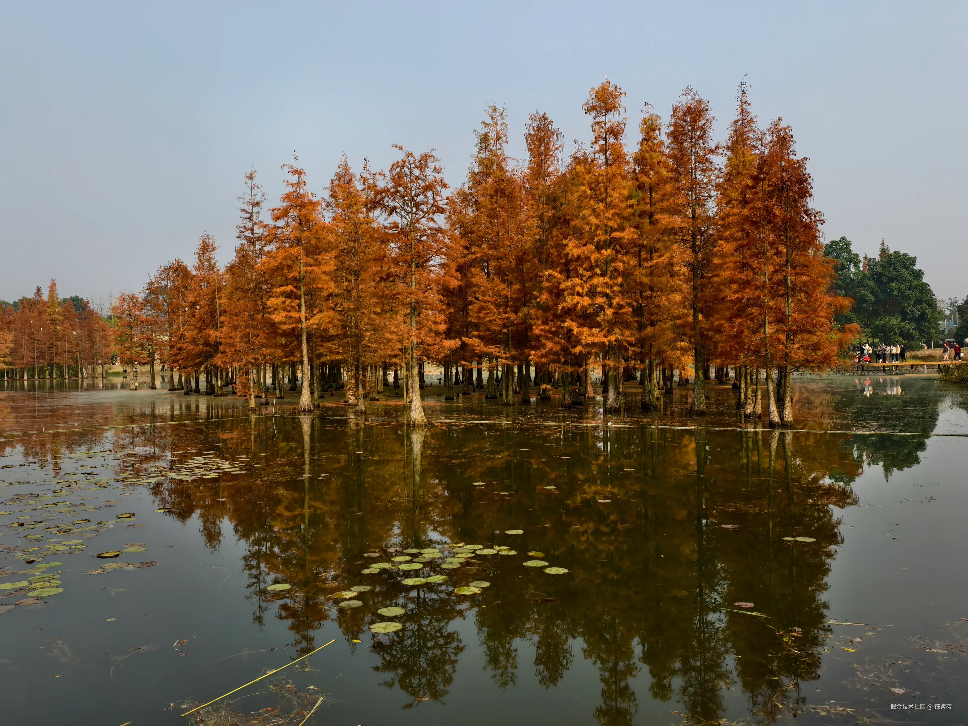 钰紫薇于2025-12-01 01:42发布的图片