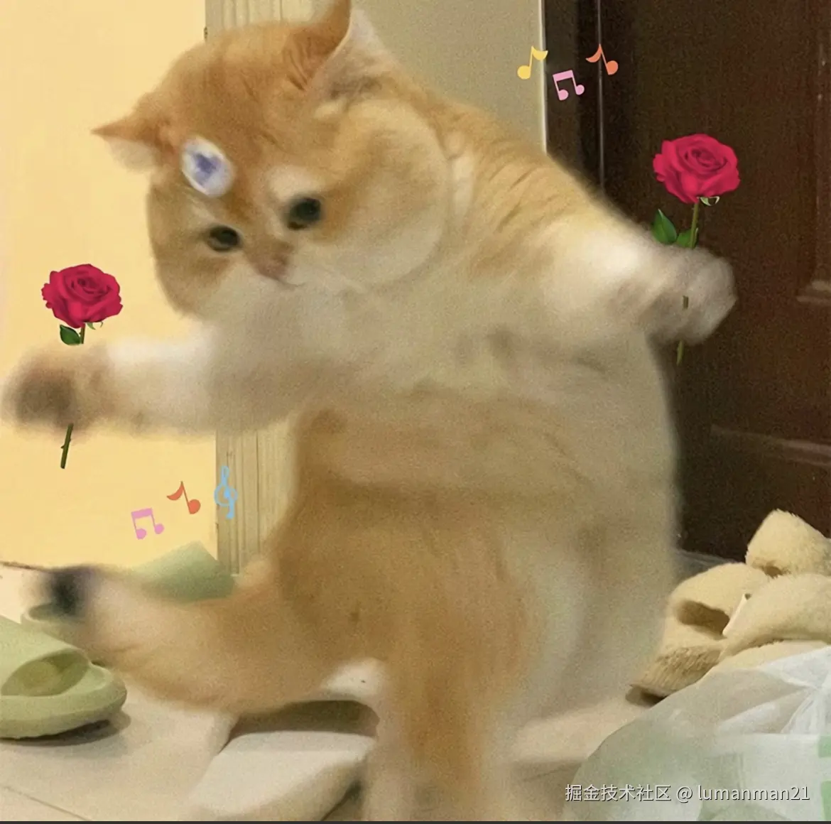 前端学习札记