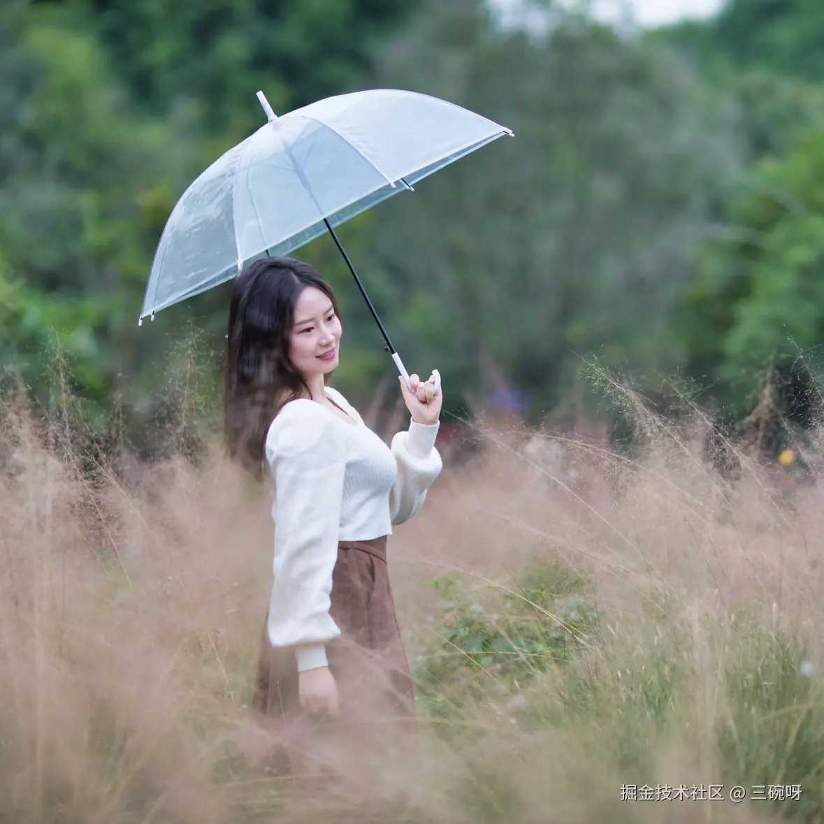 三碗呀于2024-11-25 03:11发布的图片