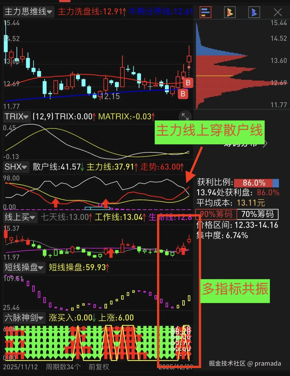 pramada于2026-01-04 14:06发布的图片