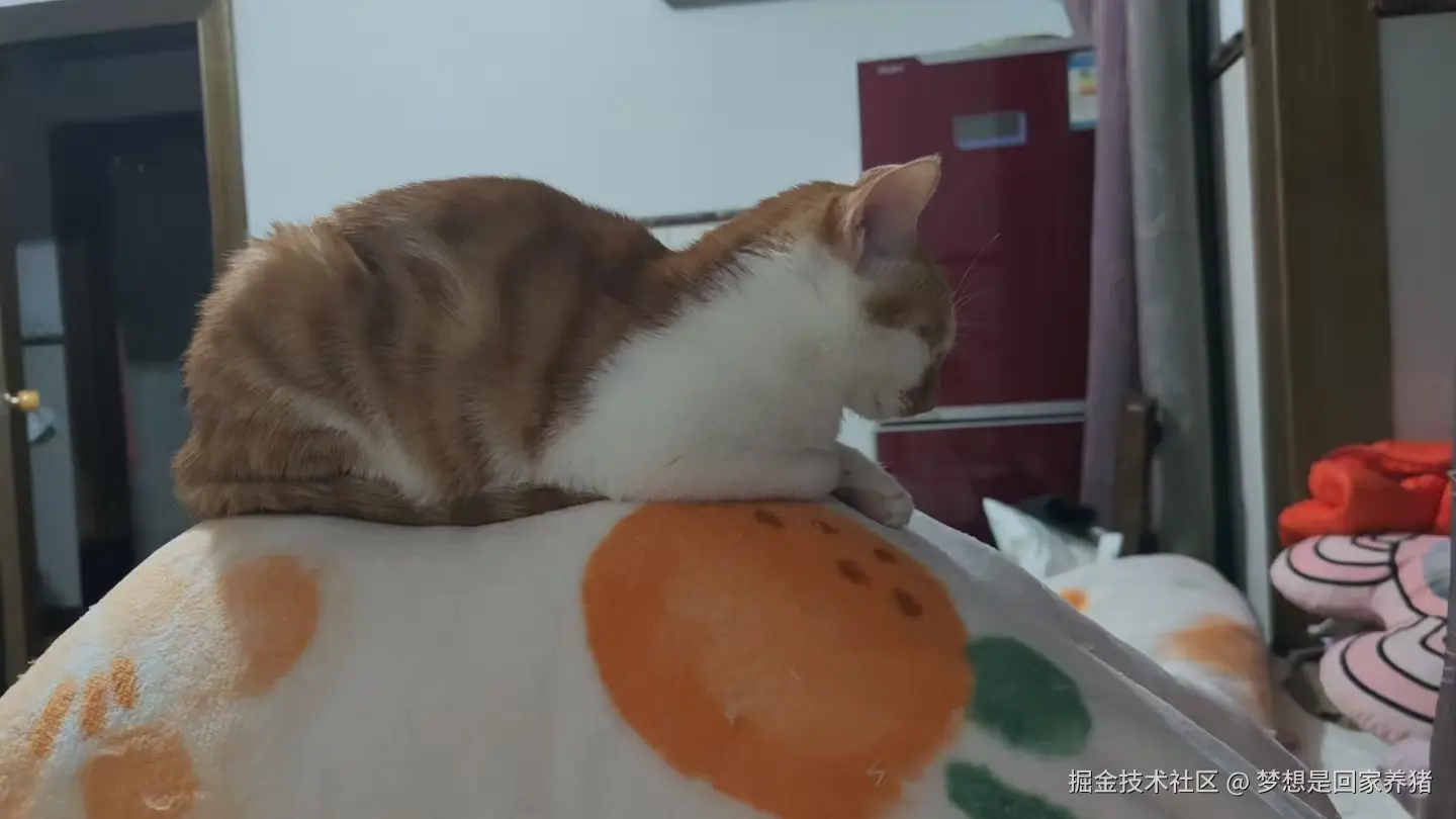 梦想是回家养猪于2024-12-16 19:37发布的图片