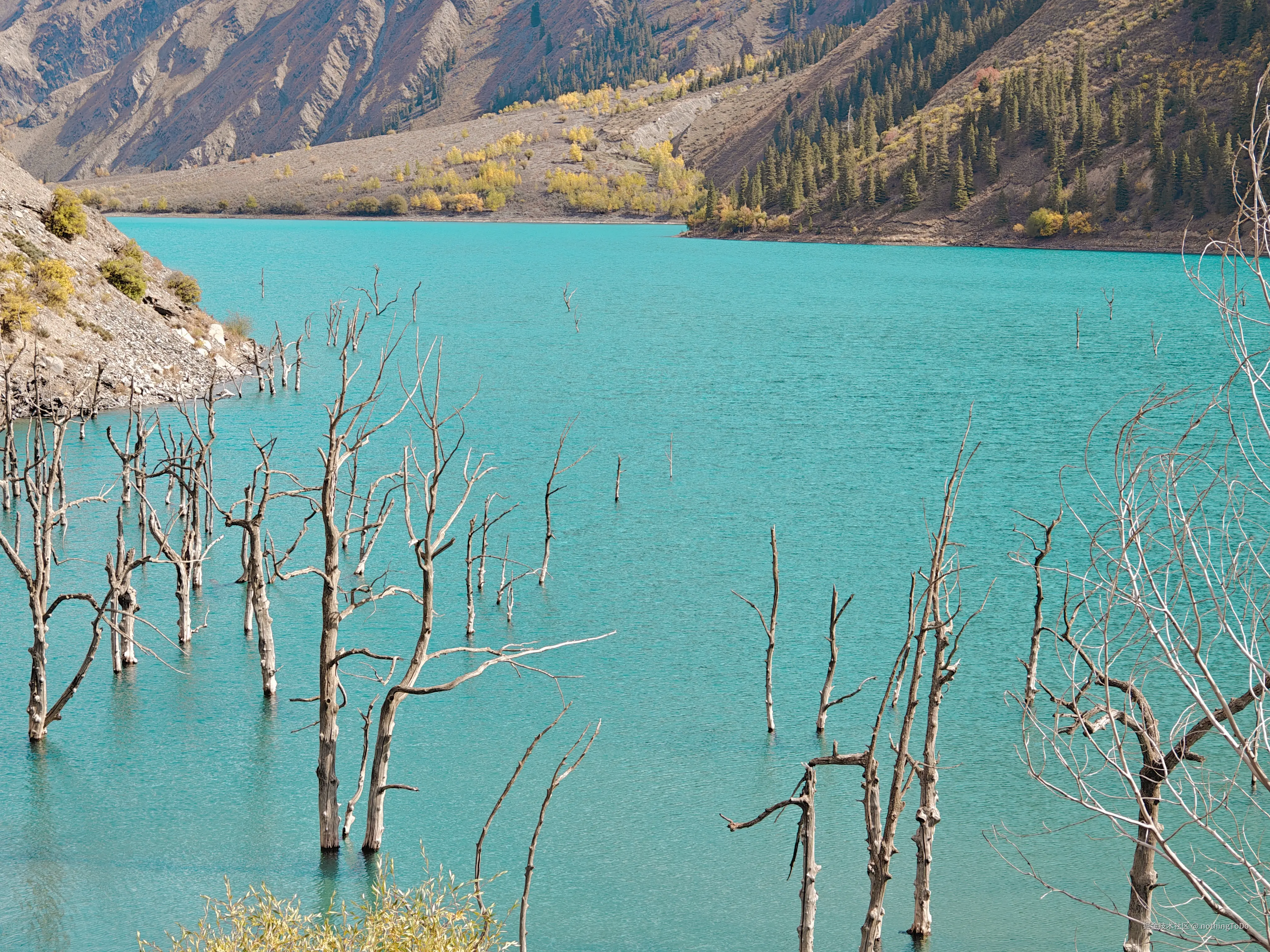 nothingToDo于2025-04-10 14:59发布的图片