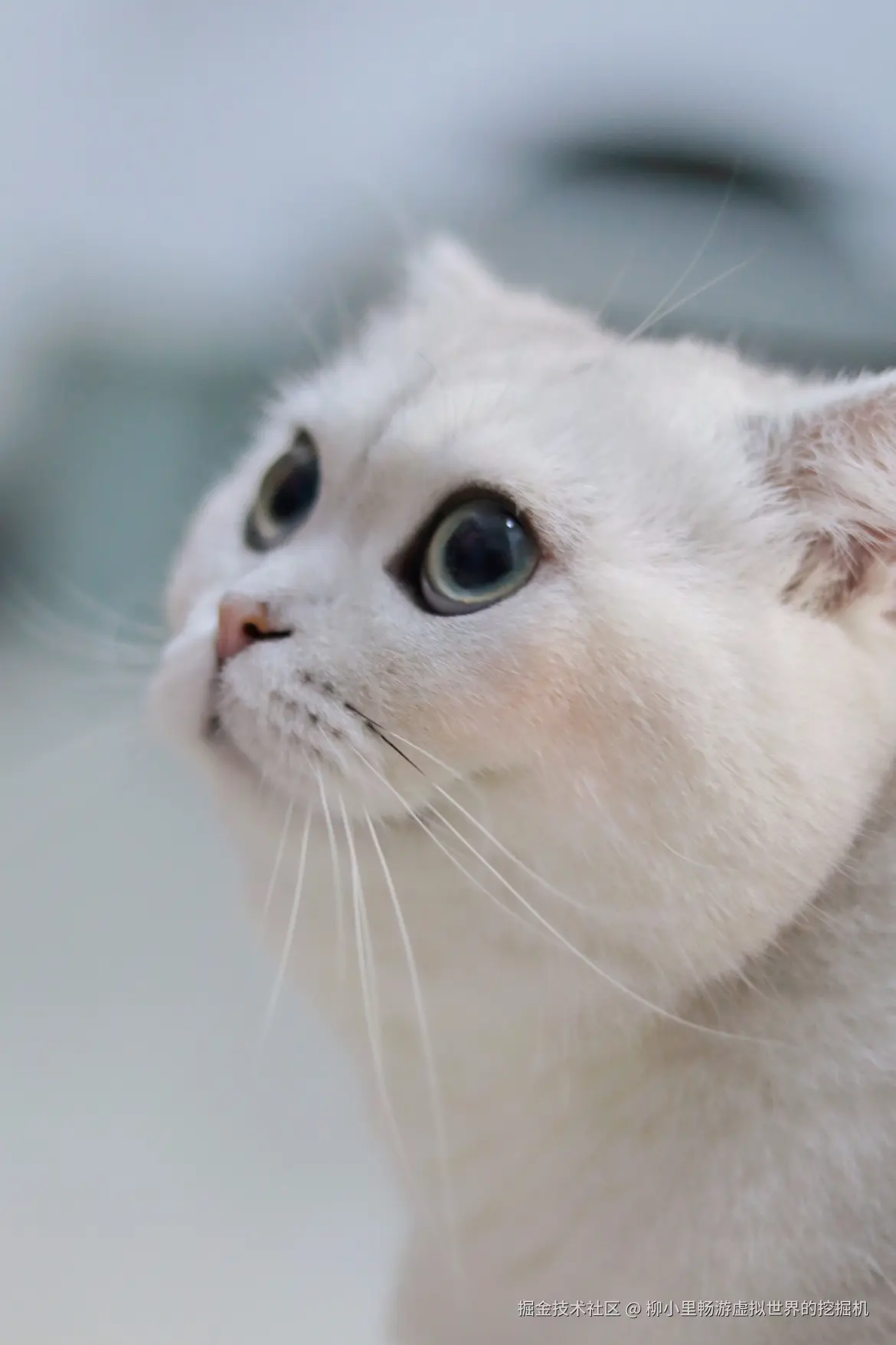 柳小里畅游虚拟世界的挖掘机于2025-11-18 16:34发布的图片