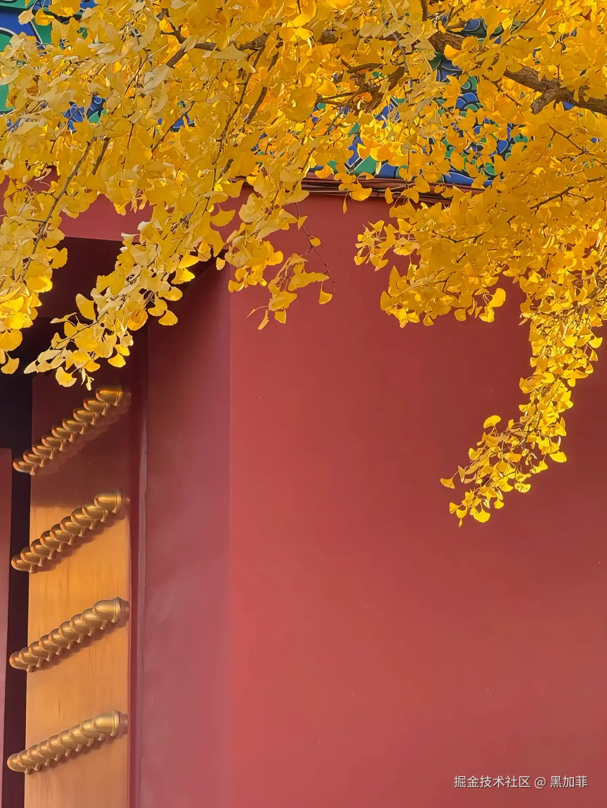 黑加菲于2024-11-30 10:36发布的图片