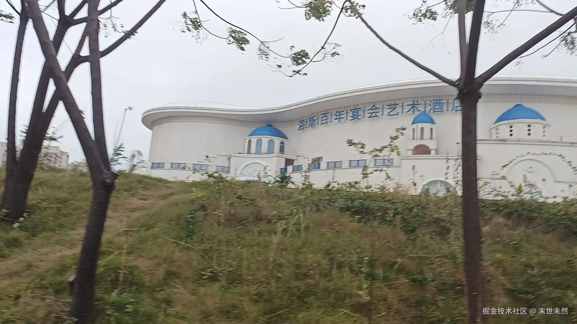 末世未然于2024-11-17 18:38发布的图片