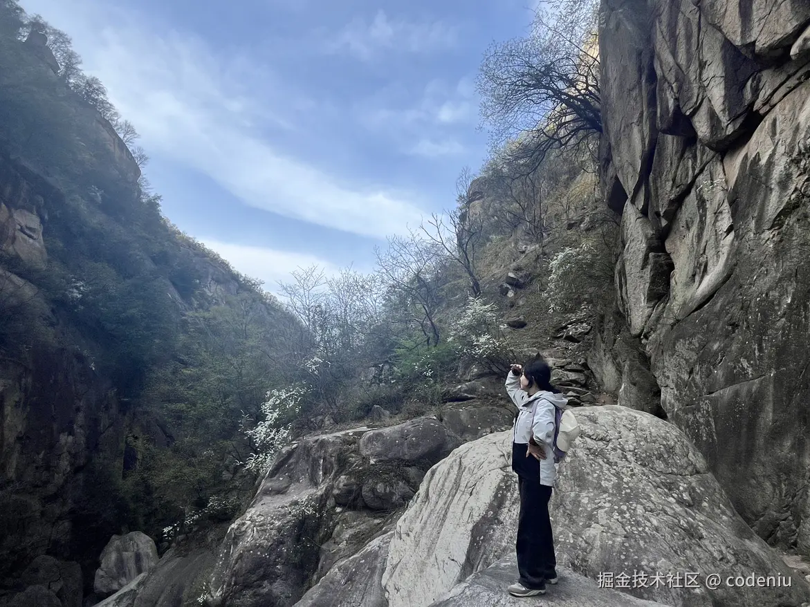 codeniu于2025-04-08 08:33发布的图片