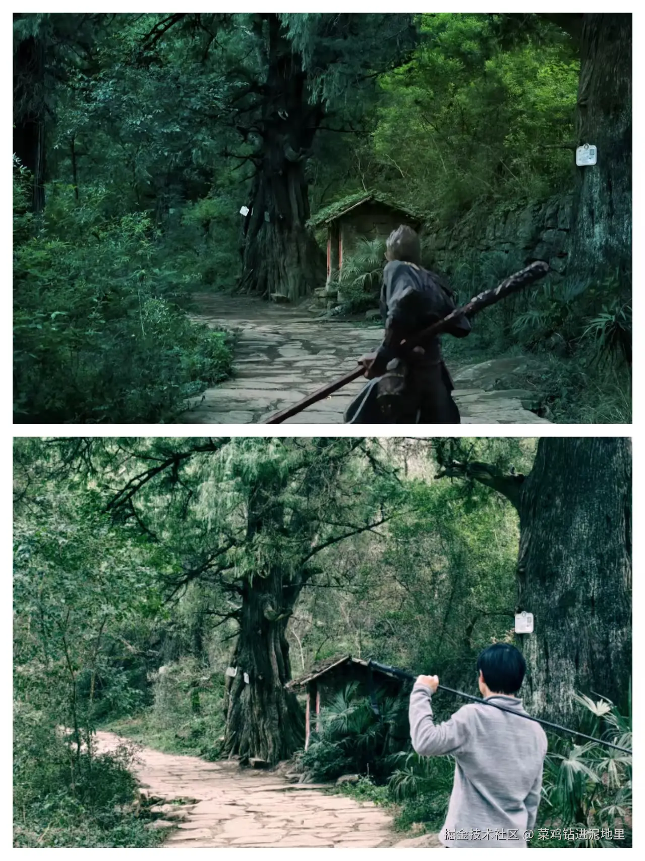 菜鸡钻进泥地里于2026-02-02 01:29发布的图片