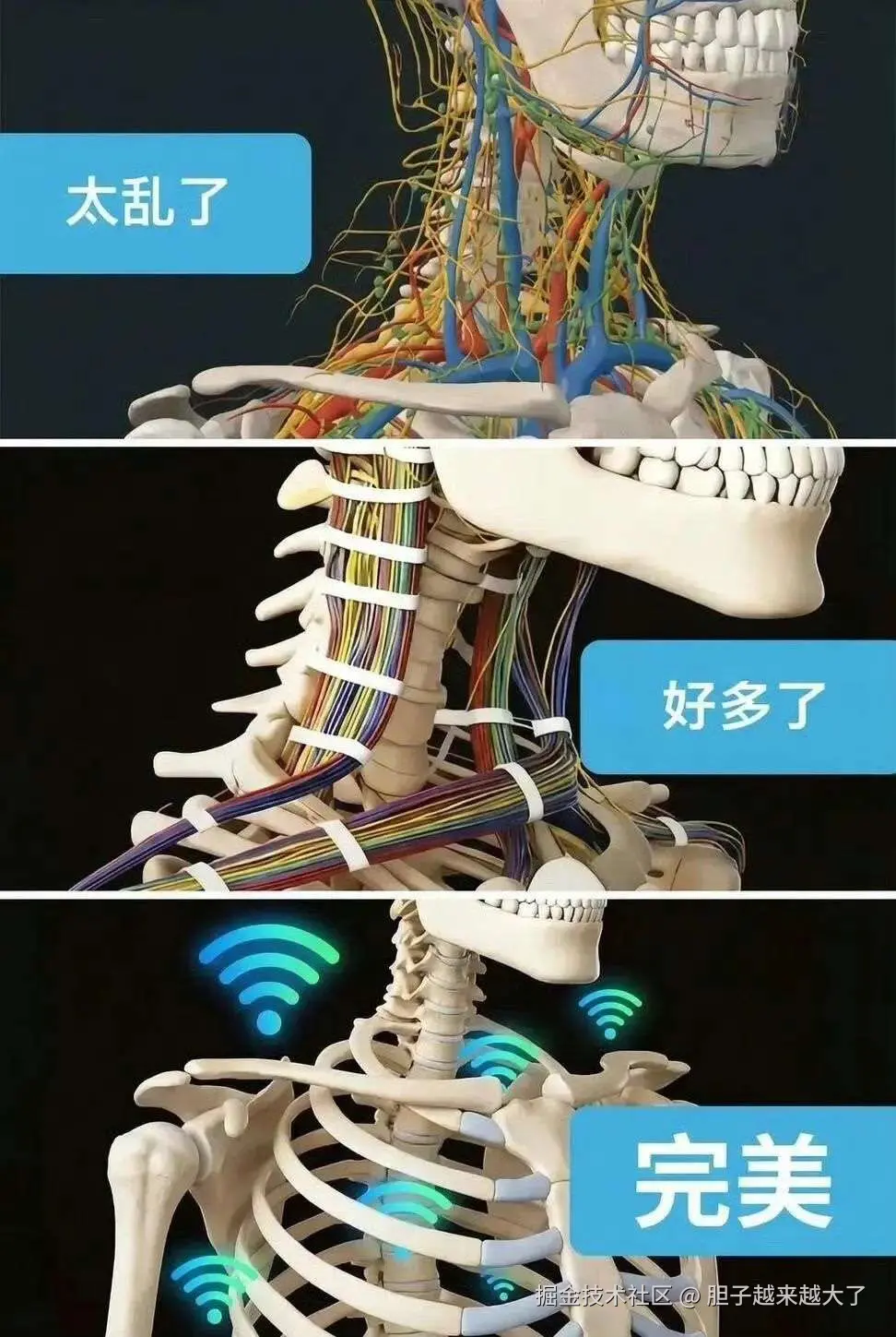 胆子越来越大了于2026-03-11 11:21发布的图片