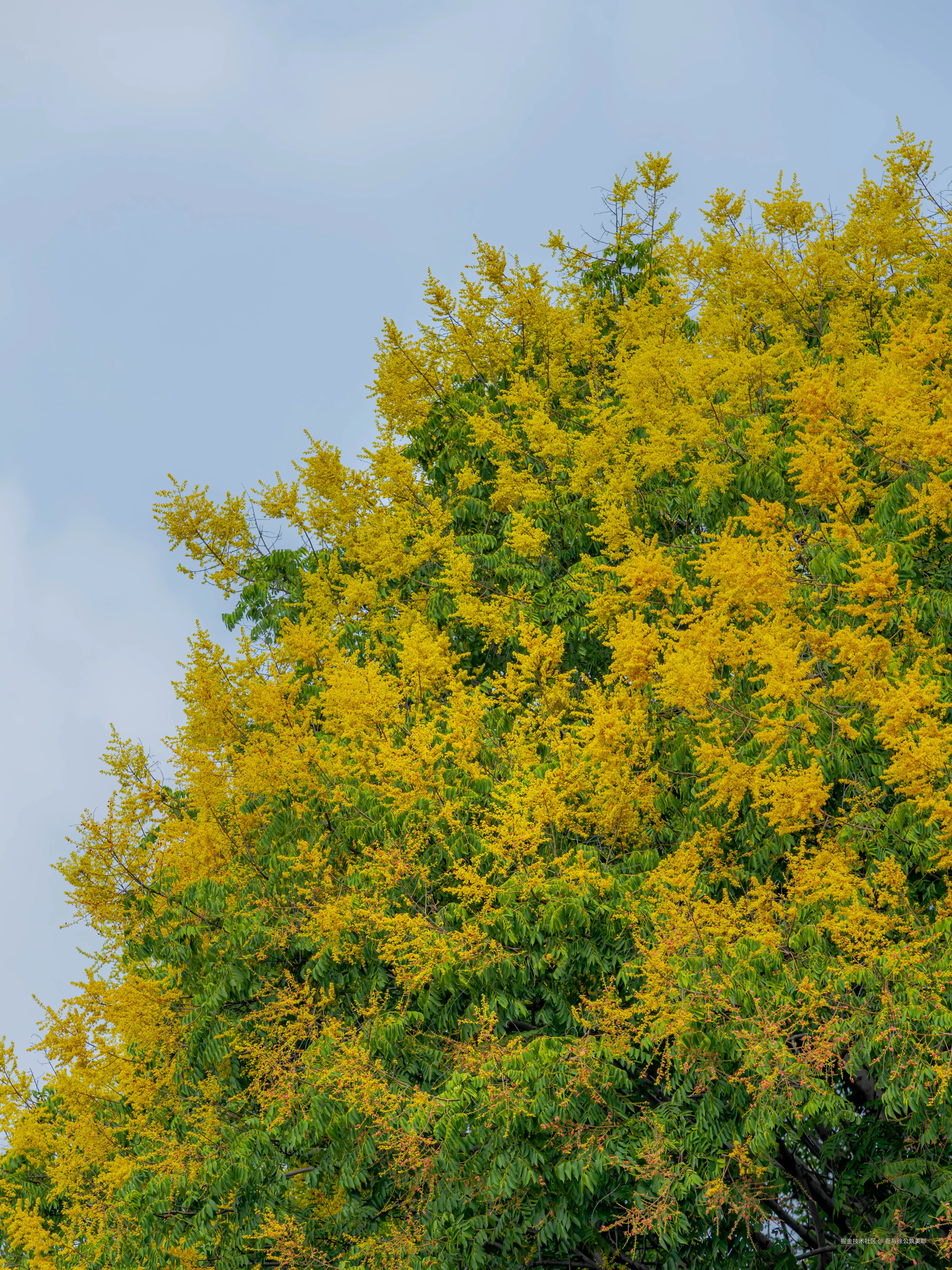 吾与徐公孰美耶于2025-09-10 09:43发布的图片