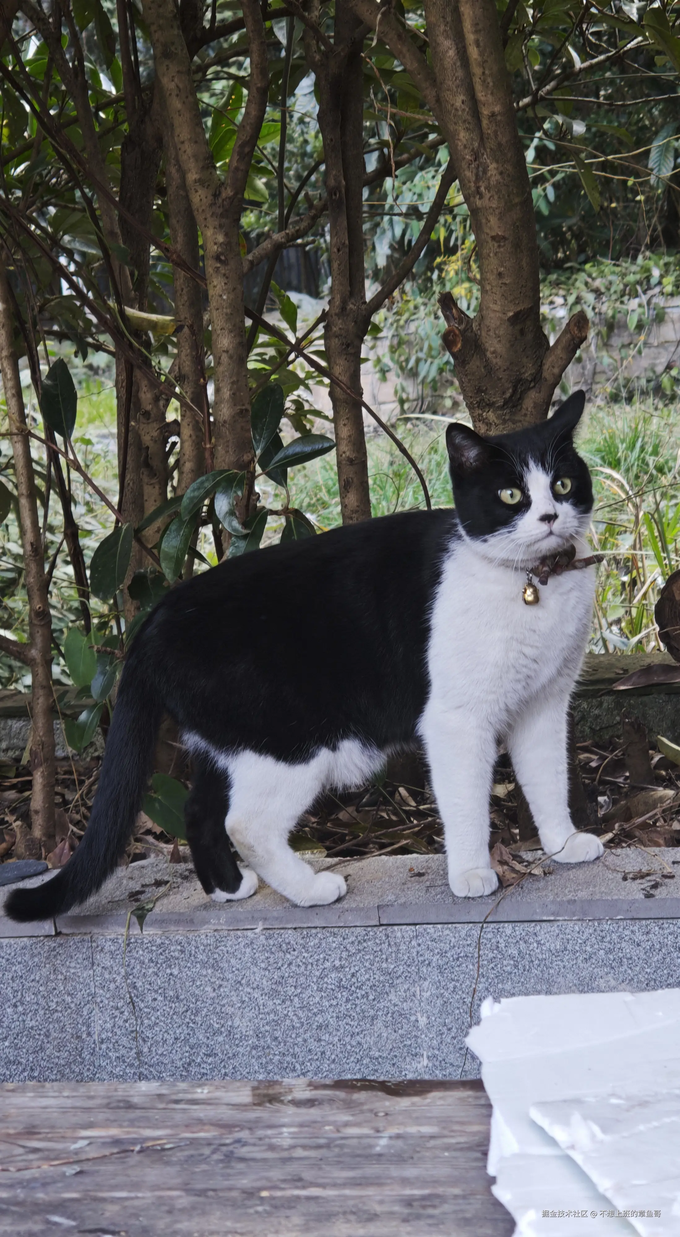 不想上班的章鱼哥于2025-04-21 09:15发布的图片